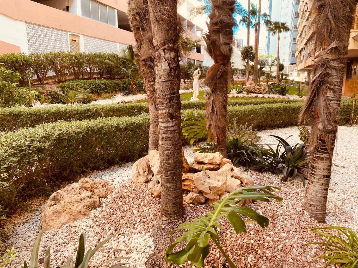 Be Luxury Apartment 20 Mts From The Beach Benidorm Luaran gambar