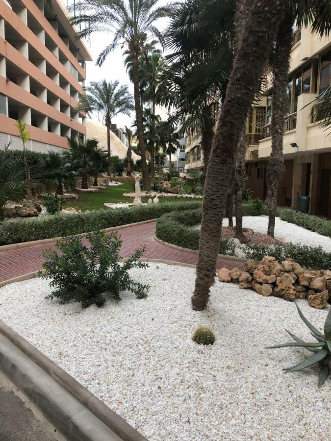 Be Luxury Apartment 20 Mts From The Beach Benidorm Luaran gambar